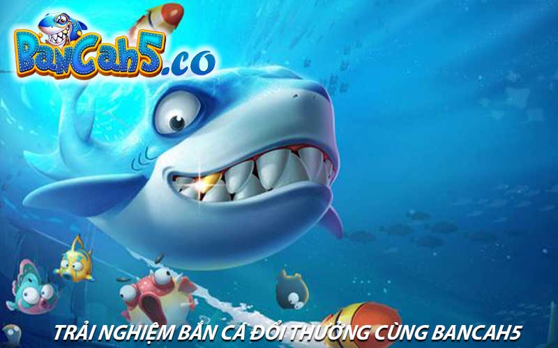 Trải nghiệm bắn cá đổi thưởng cùng bancah5